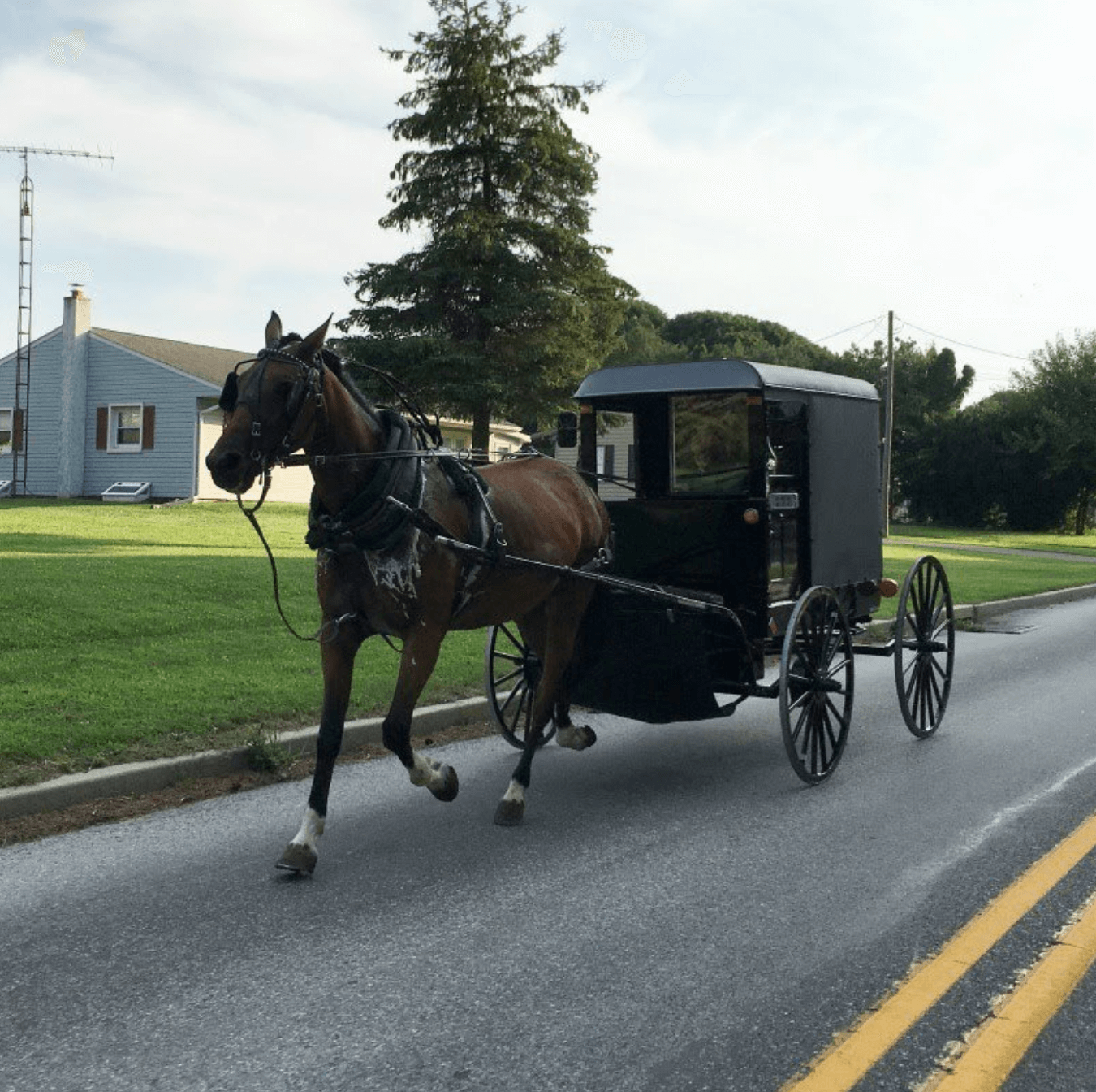 Escursione a Philadelphia e Amish Country (1 giorno)