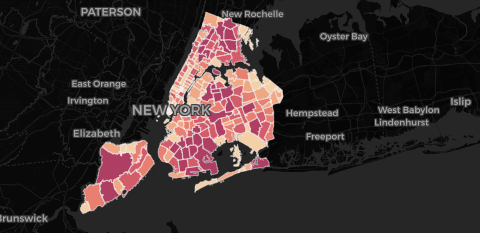 Corona virus a New York mappa