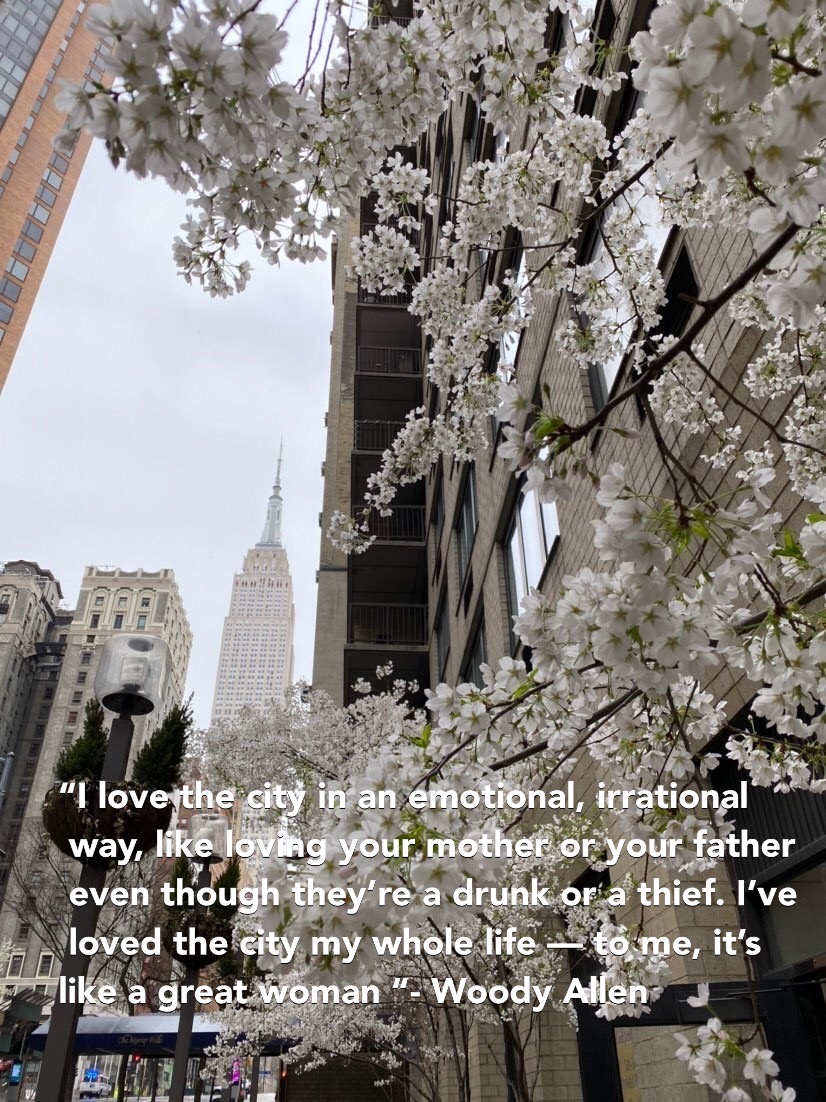 Le più belle frasi su New York