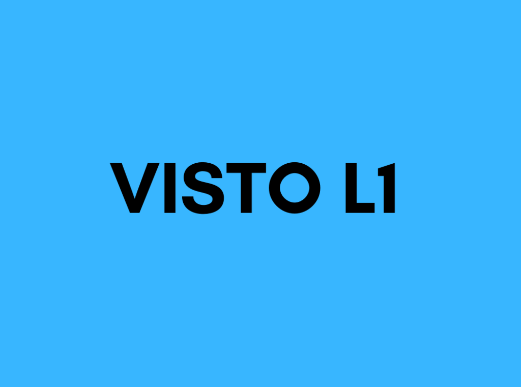 Visti per gli USA – Come ottenere il visto L-1