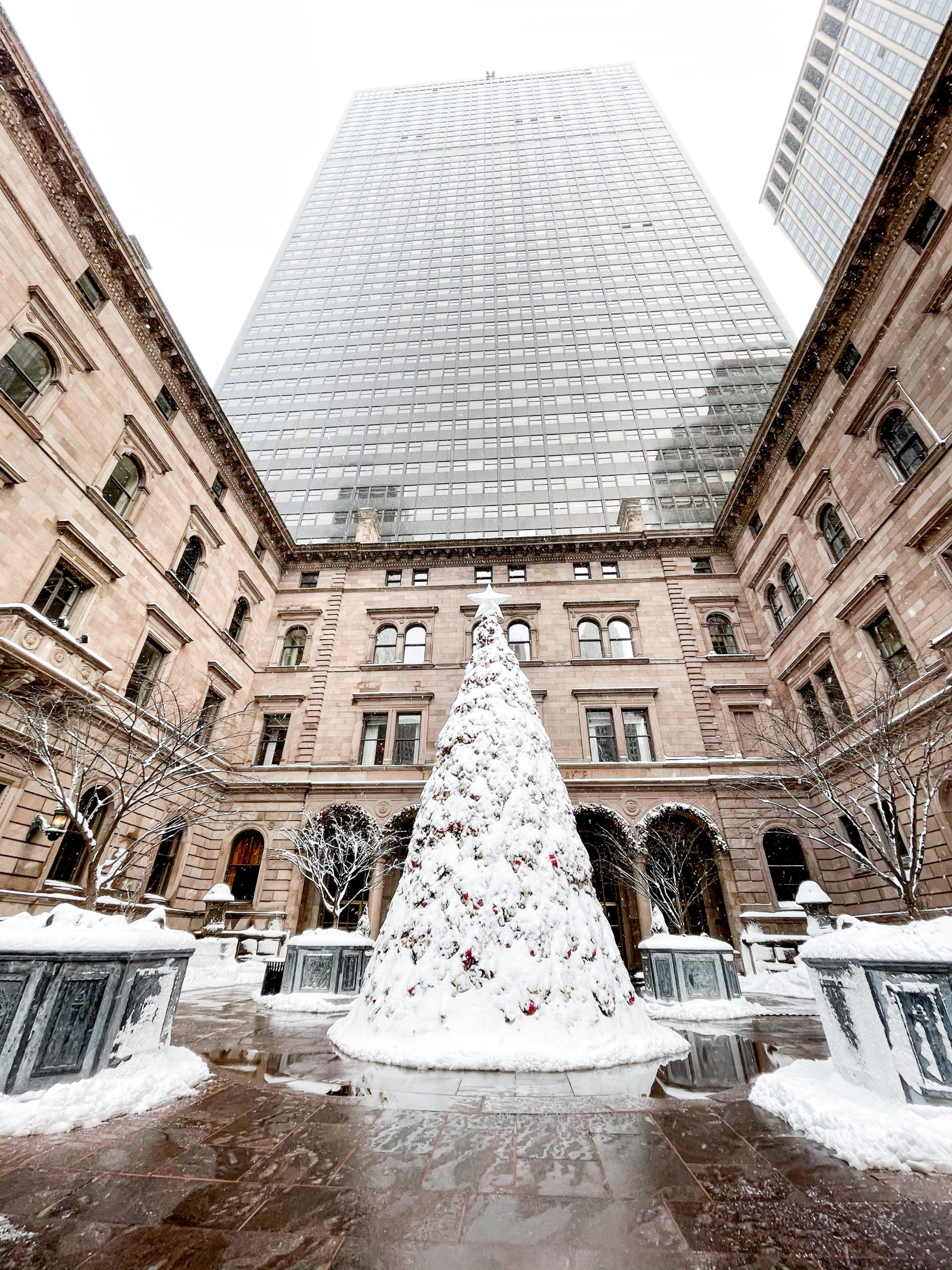 Natale a New York, Lotte Hotel neve