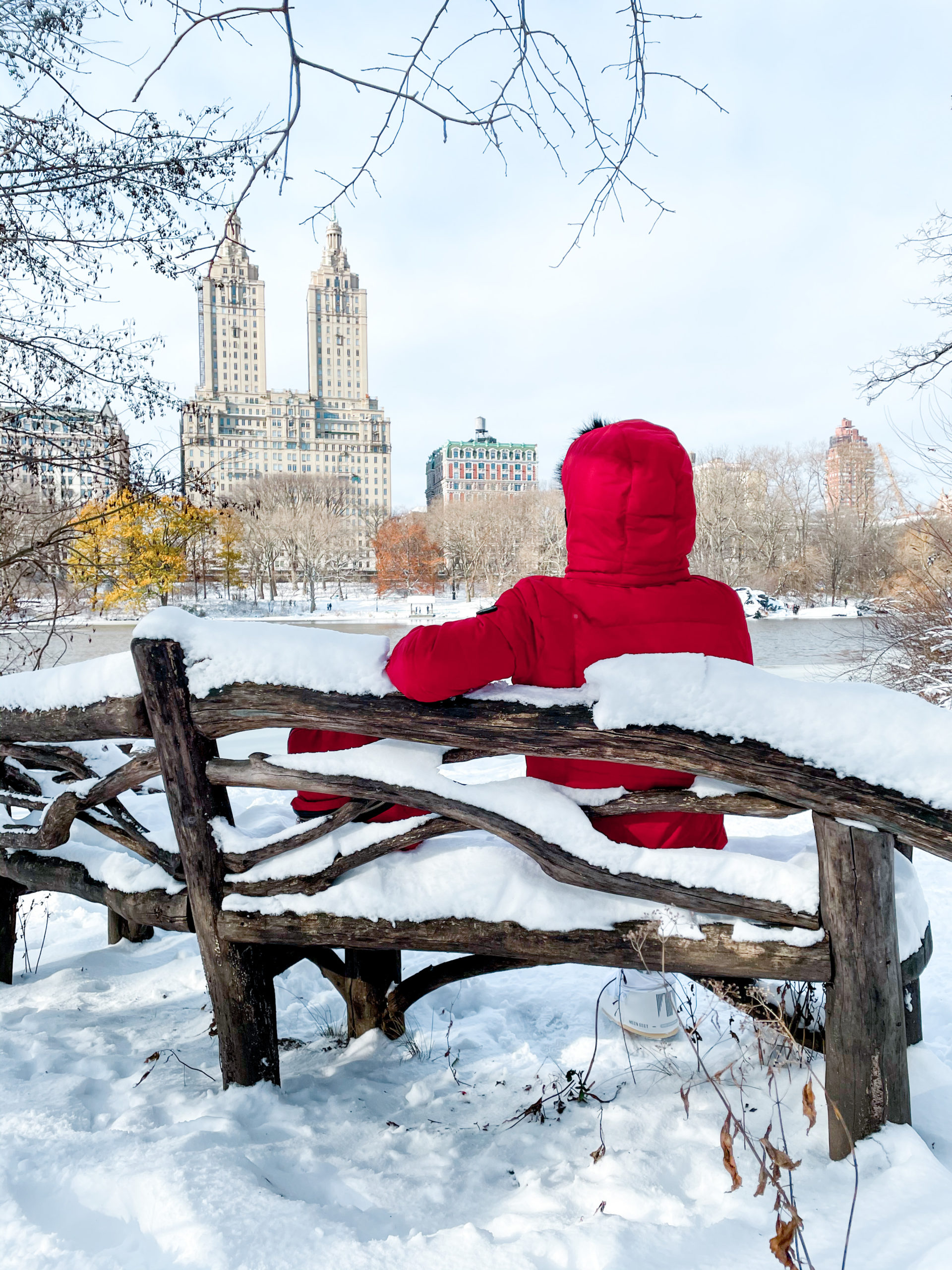 Natale a New York, neve a Central Park