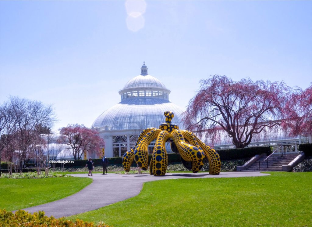 Yayoi Kusama a New York: nuova esposizione al New York Botanical Garden