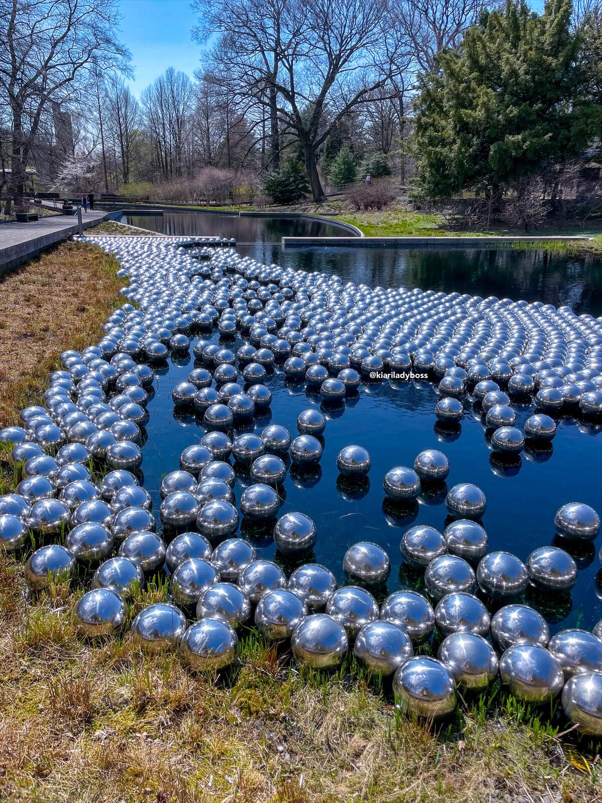 Yayoi Kusama a New York Narcissus Garden