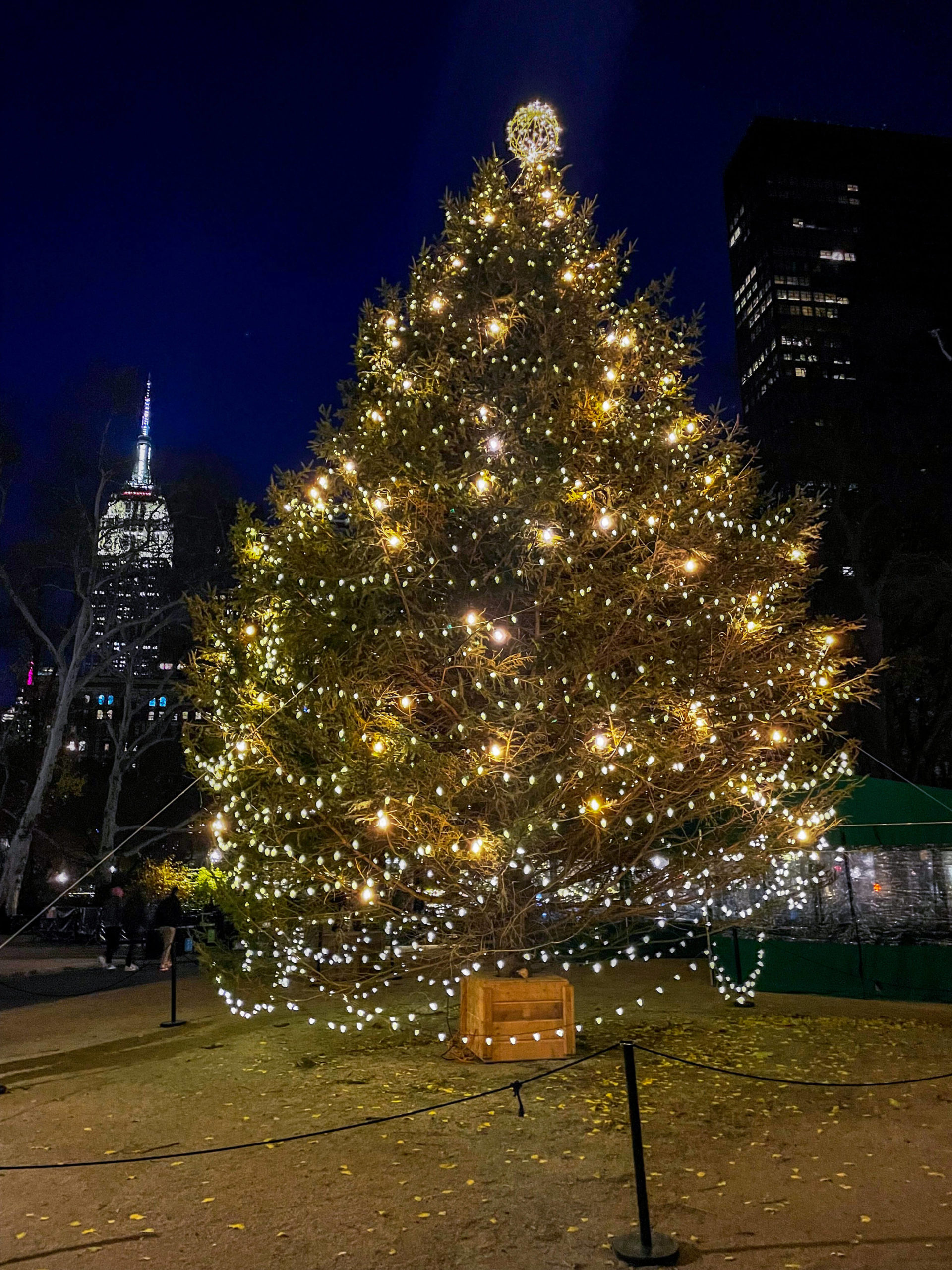 Luci di Natale a New York Madison Sq Park