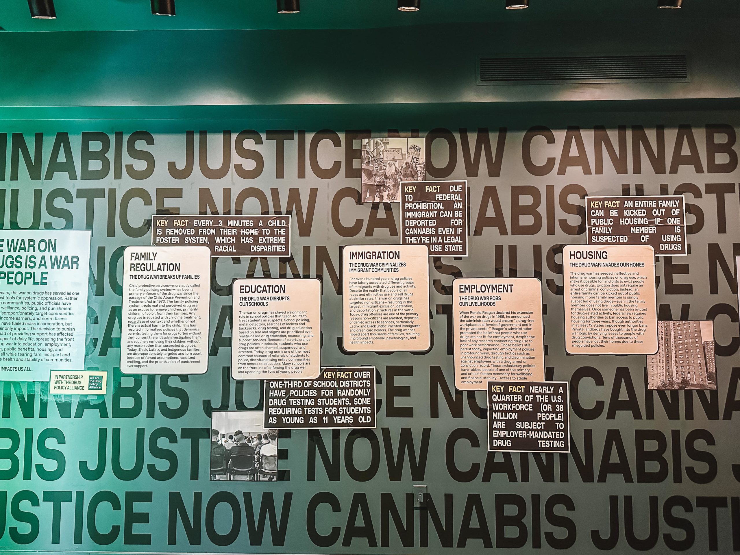 New York inedita l’apertura di “The House of Cannabis”.JPG