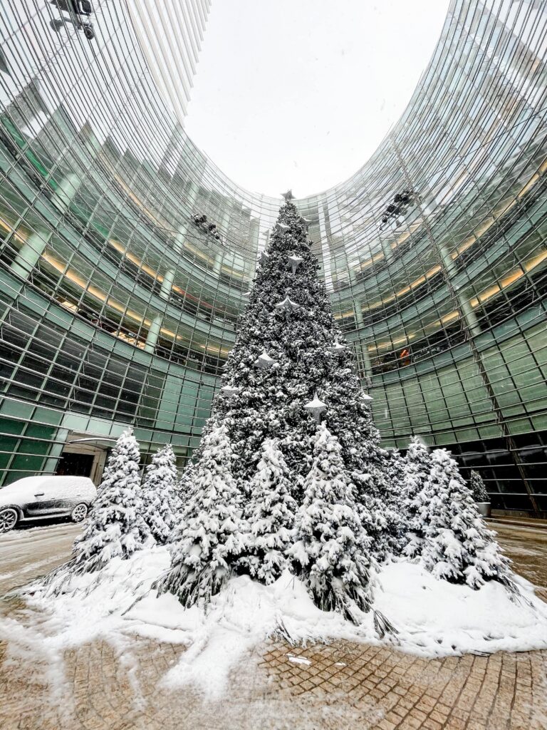 20 alberi di Natale a New York da non perdere