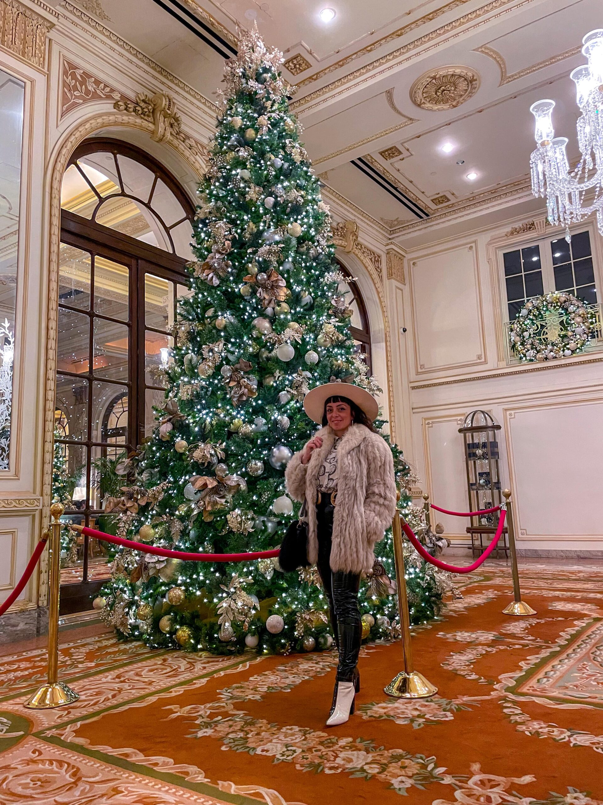 La competizione tra gli hotel di 5th avenue per il miglior allestimento natalizio ha certamente come protagonista anche il Peninsula Hotel dove, visitando il bellissimo albero con i suoi enormi addobbi, è facile imbattersi in una performance di canti natalizi a sorpresa PLAZA HOTEL