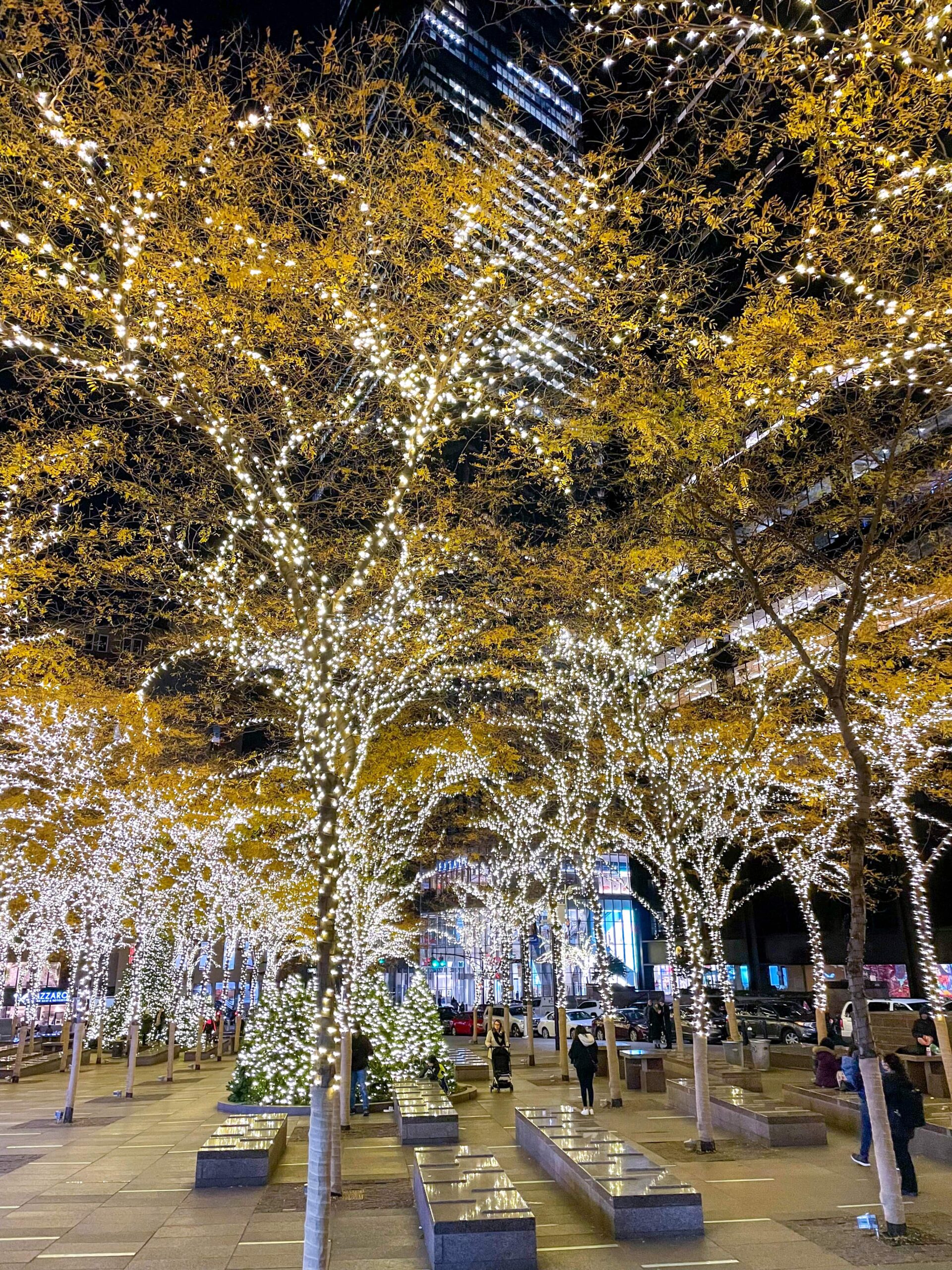 Cosa fare a Natale a New York Zuccotti Park