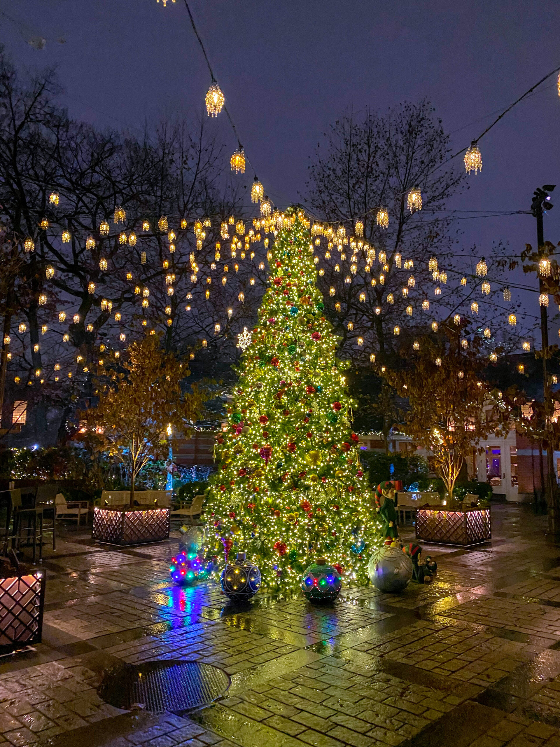 20 alberi di Natale a New York da non perdere 