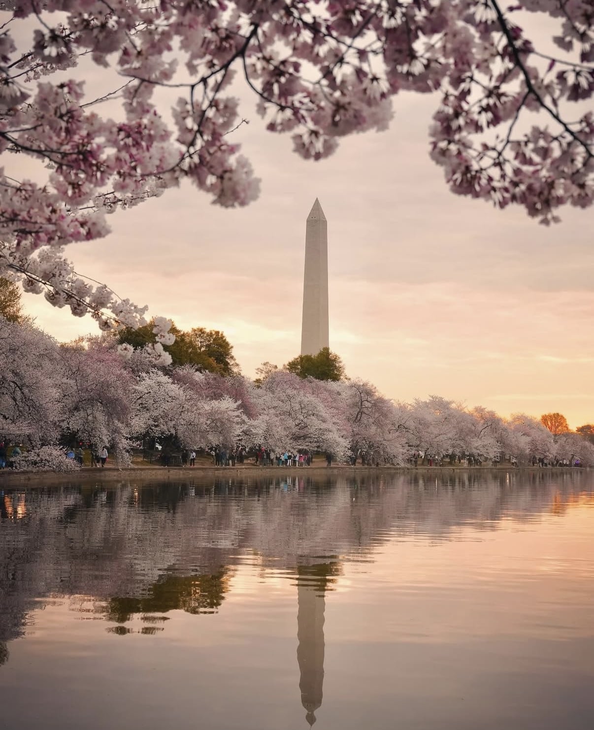Visitare Washington DC: il nostro tour in giornata da New York3