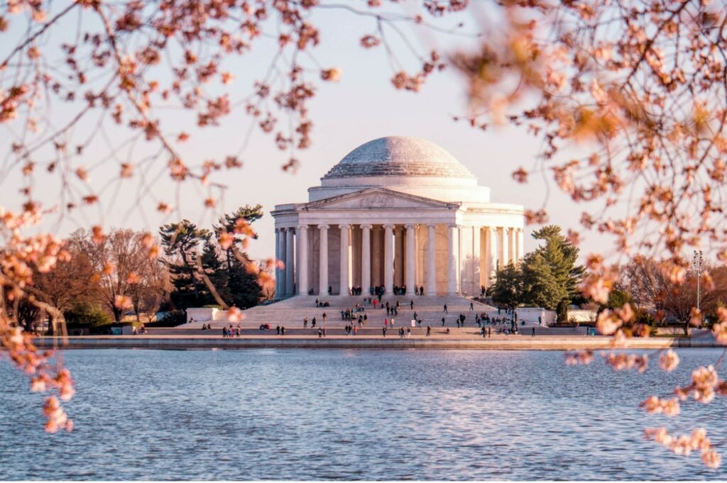 Visitare Washington DC: il nostro tour in giornata da New York
